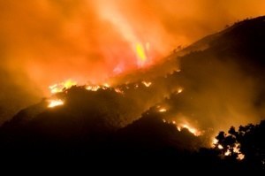 wildfire-night-small.jpg